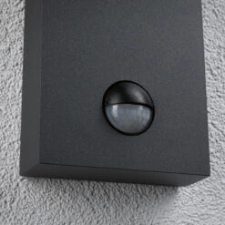 Paulmann Puka LED-Außenwandleuchte Mit Sensor -Heimbeleuchtung 10001793 5