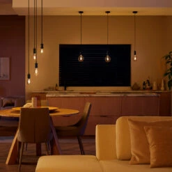 Philips Hue White E27 7W Filament ST72 550lm -Heimbeleuchtung 10005174 2