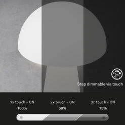 LED-Akku-Tischleuchte Fungo, Aufladbar, Weiß -Heimbeleuchtung 10015106 6
