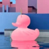LED-Designleuchte DUCK-DUCK XL Für Außen In Pink -Heimbeleuchtung 10016419
