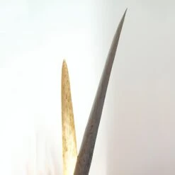 Palustre - Eine Schmückende Stehleuchte -Heimbeleuchtung 4512501 2