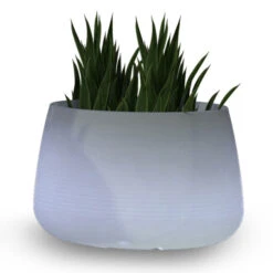 Newgarden Camelia 60 Pflanzkübel LED Solar+Akku -Heimbeleuchtung 7025146 5