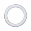 OSRAM G10q 40W 865 Lumilux T9C Leuchtstoffring -Heimbeleuchtung 7260730