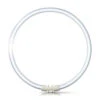 Philips 2GX13 55W 840 Ring-Leuchtstofflampe Master TL5 -Heimbeleuchtung 7530390