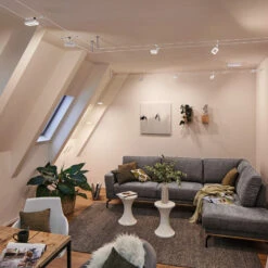 Paulmann Frame LED-Seilsystem 5fl. Weiß Matt 19 Paulmann Frame LED-Seilsystem 5fl. Weiß Matt -Heimbeleuchtung 7602845 8